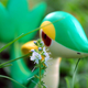 Illustration for article titled Pokémon (OH) Snap!: Hiding in the Tall Grass...(Part II)